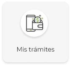 Mis