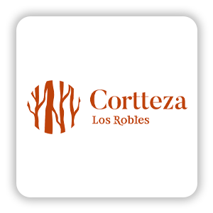 cortteza cuadro